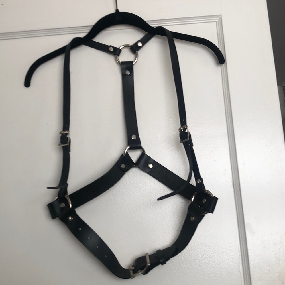 Zana Bayne “Authentic”  black leather harness Size Large!!